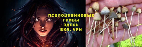 индика Абаза
