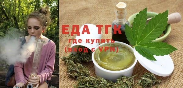 индика Абаза