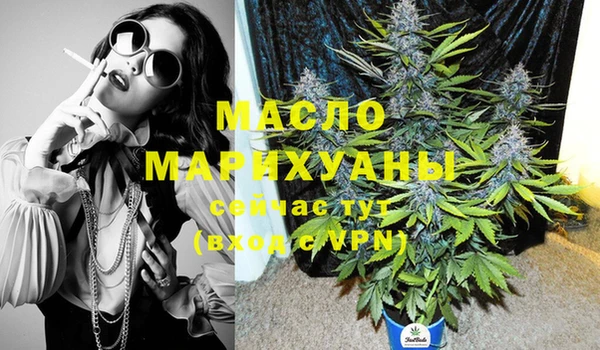 индика Абаза