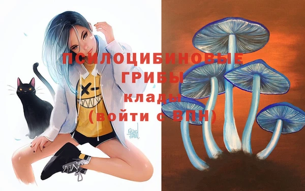 индика Абаза