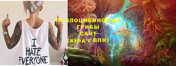 индика Абаза