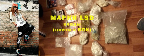 индика Абаза