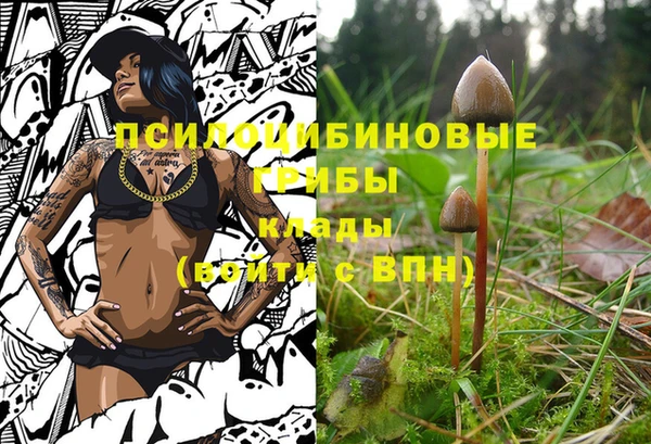 дживик Абдулино