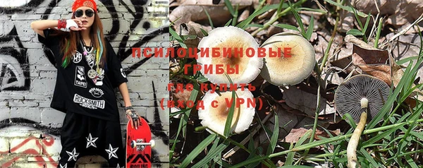 индика Абаза